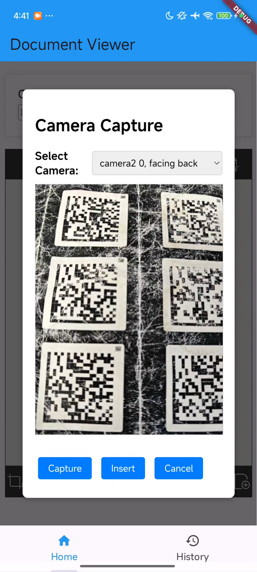 camera access in Flutter Android WebView